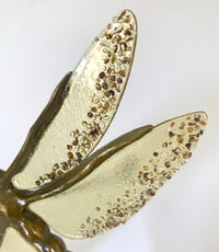 Brown Dragonfly with Amber Wings