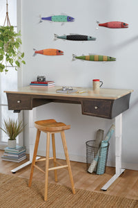 Whimsical Fish