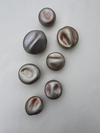 Freshwater Pearl Wall Sculpture