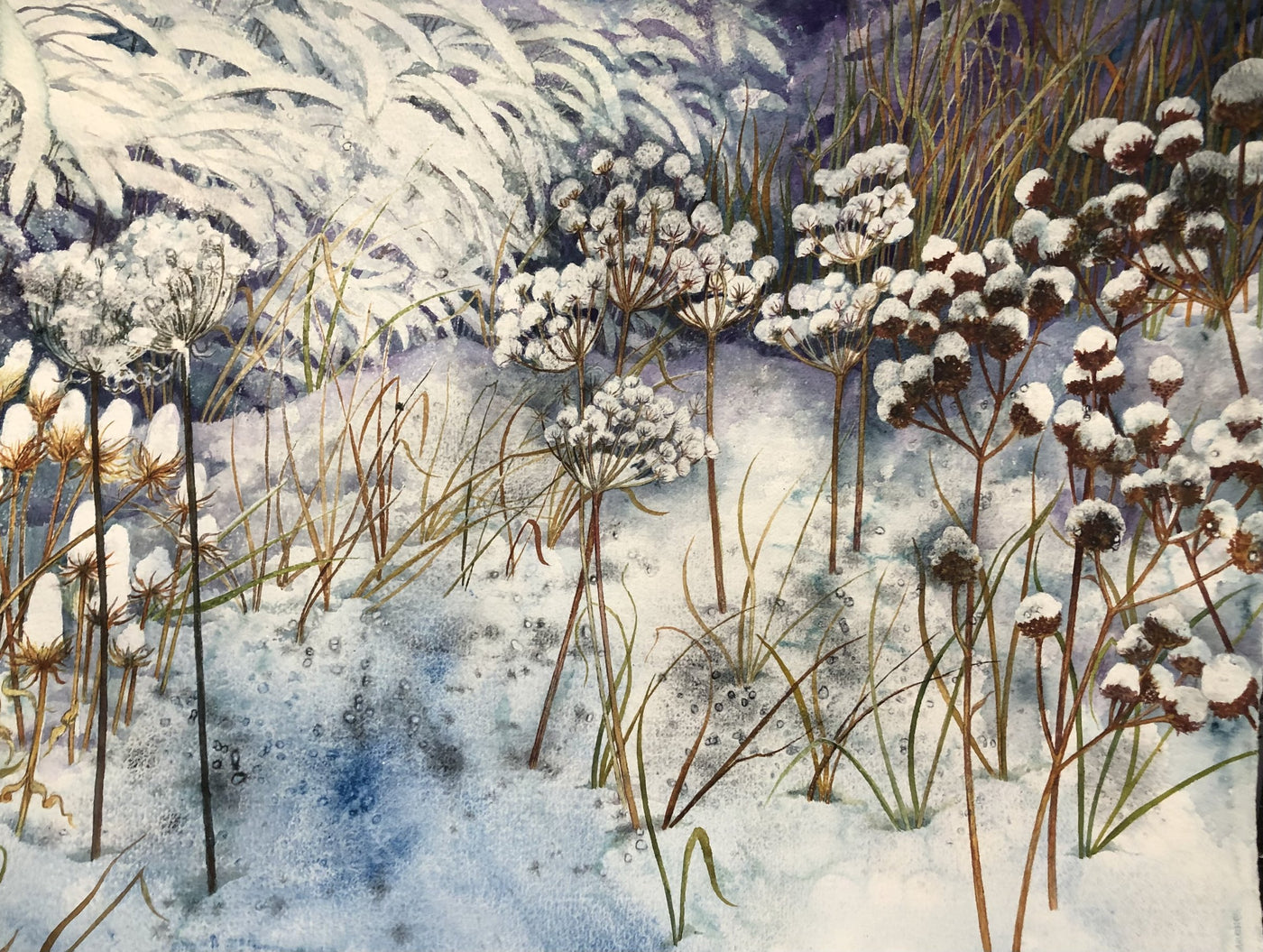 Winter Prairie I
