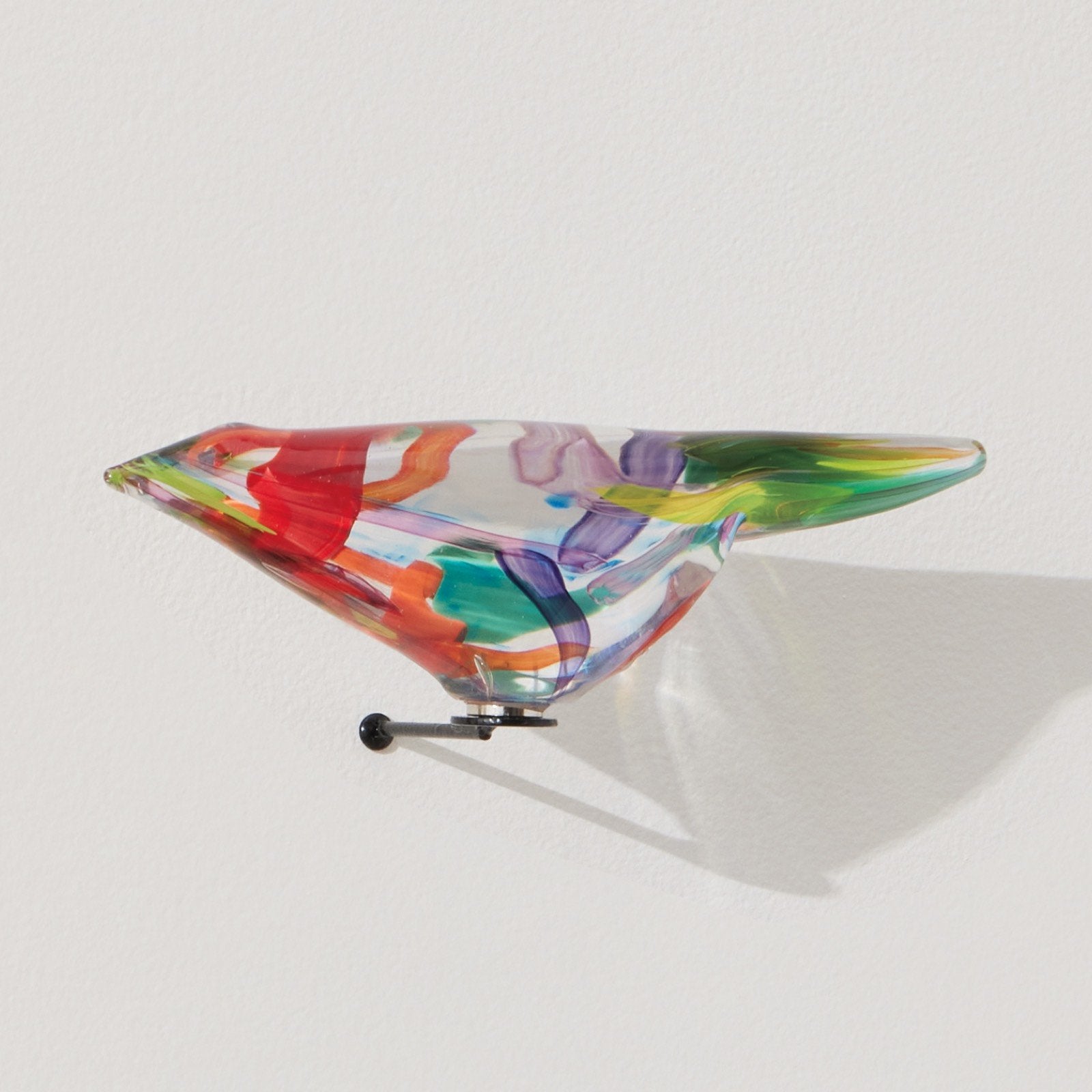 Multicolor Bird