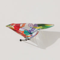 Multicolor Bird