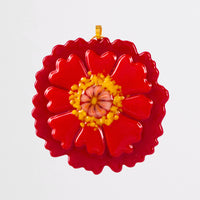 December Daisy