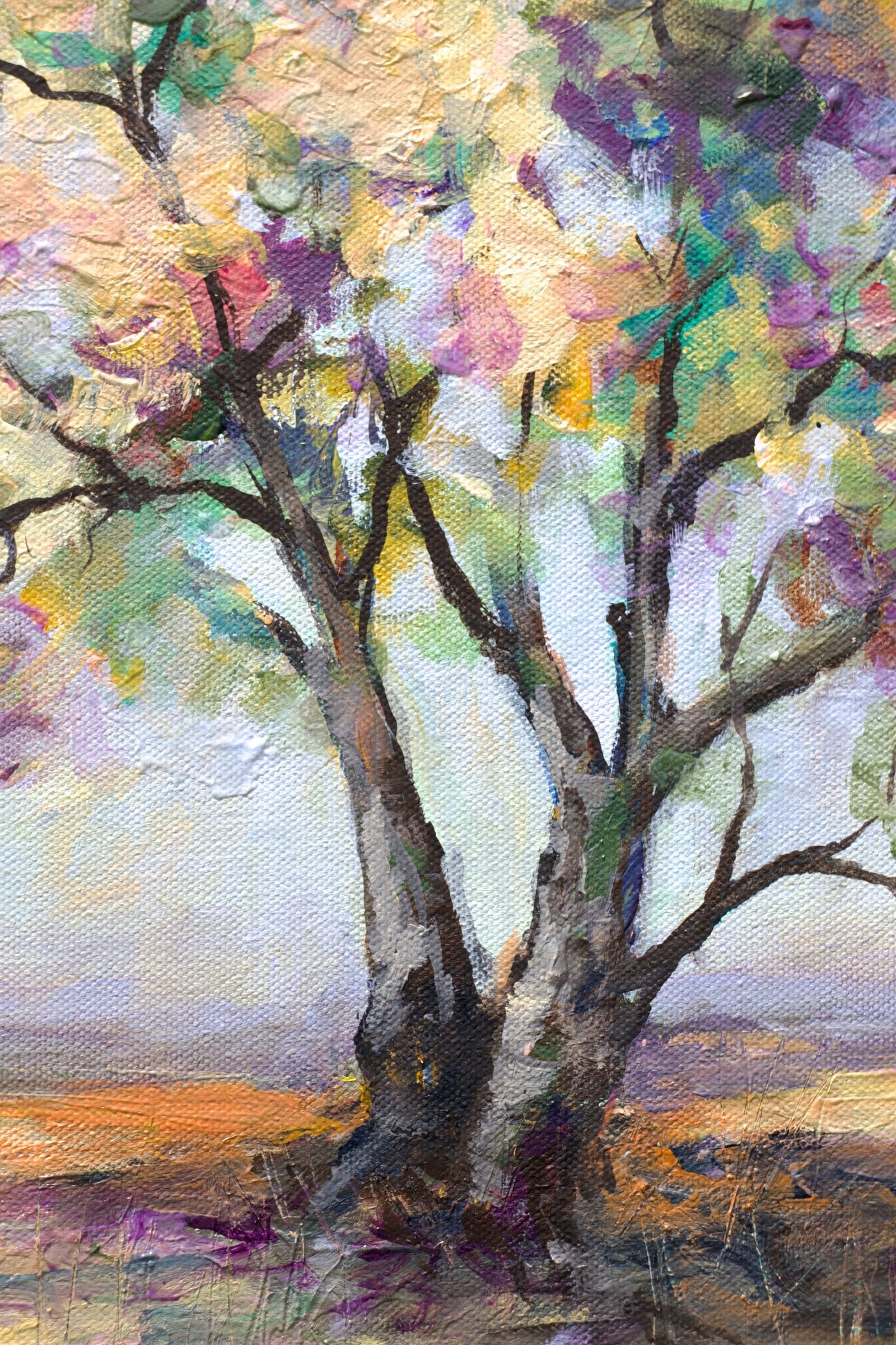 Sunlit Canopy