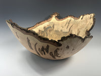 Natural Edge Maple Burl III