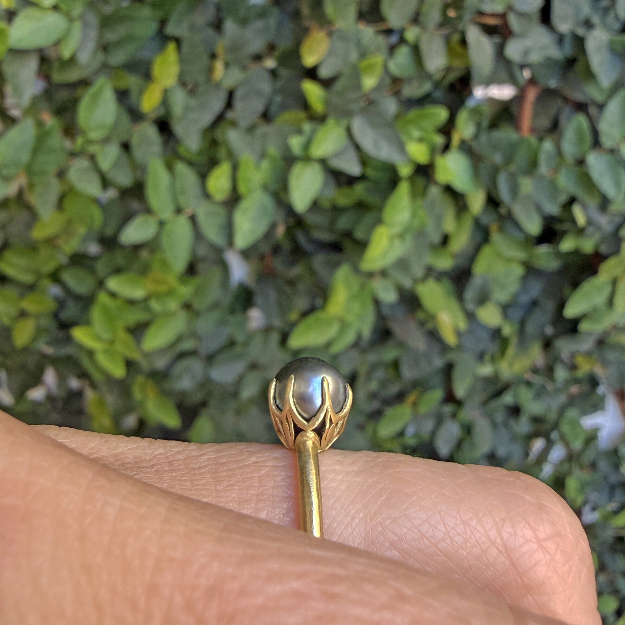 Tahitian Pearl Aqueduct Ring