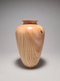 Timeless Forms