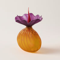 Lima Amber