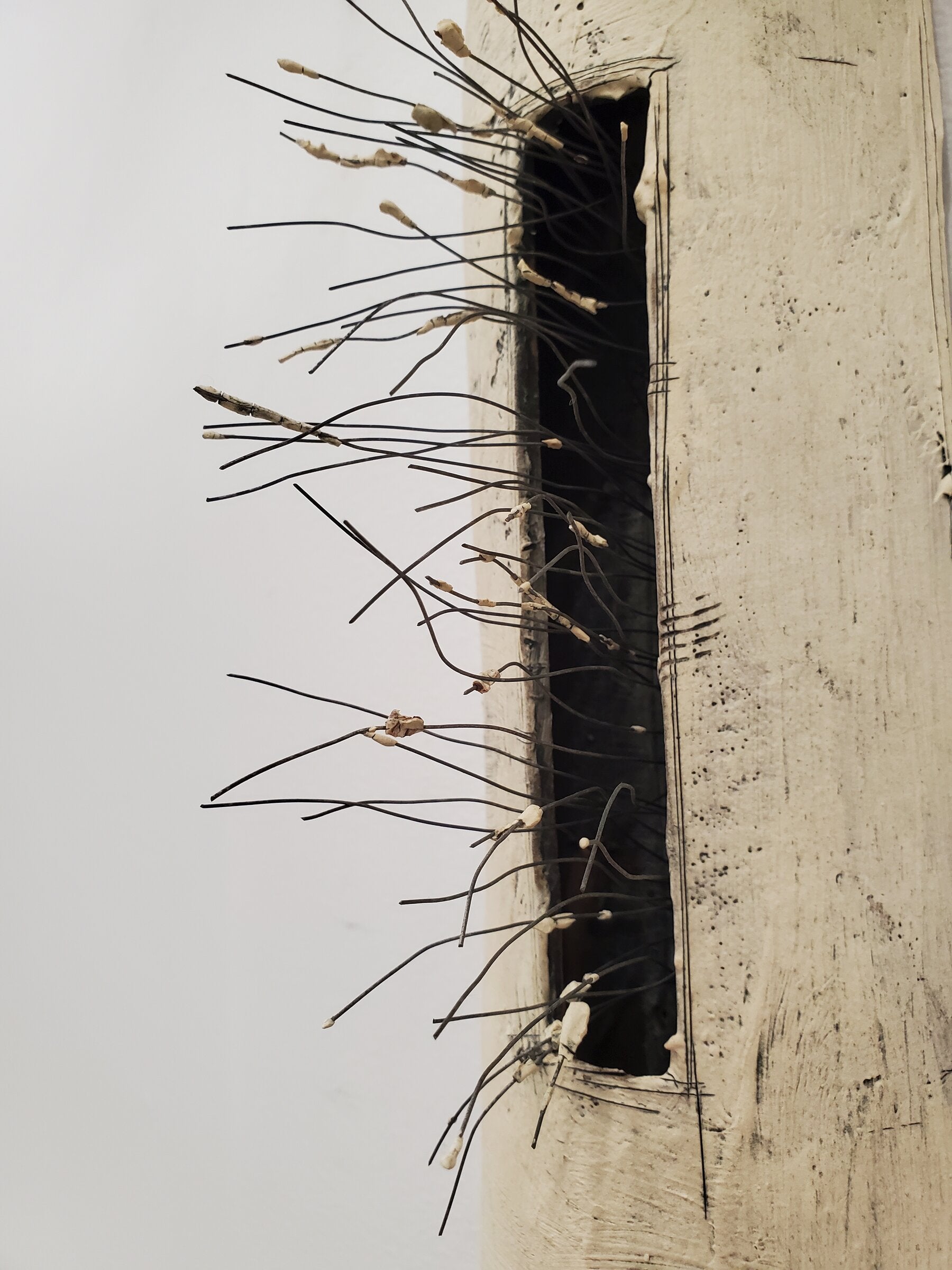 Wiry Pods