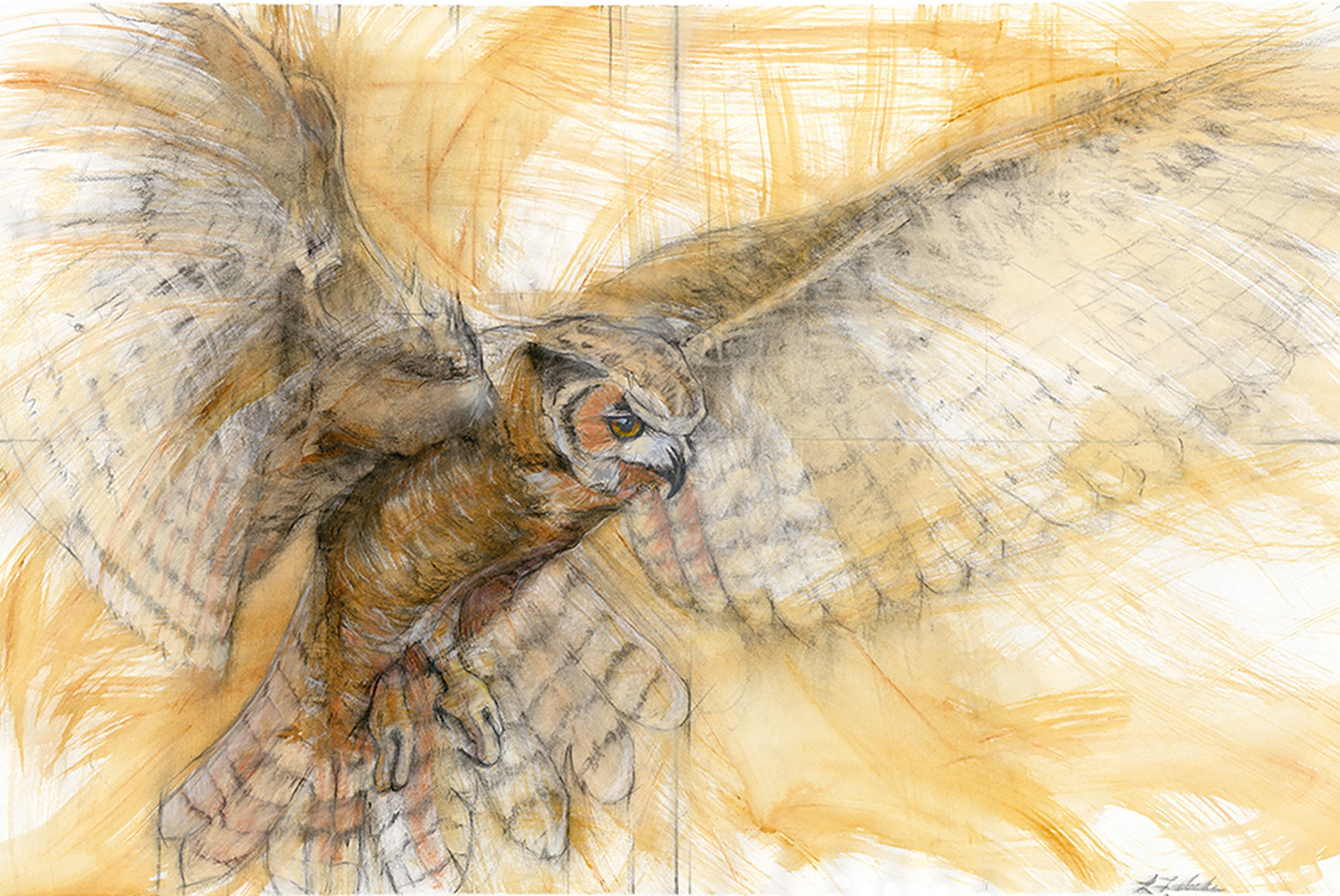 Great Horned Owl I