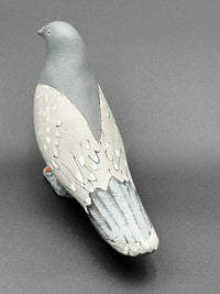 Pigeon Looking Left
