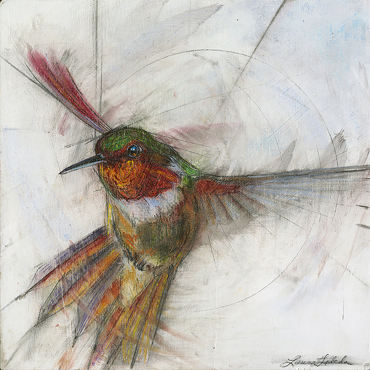 Hummingbird 006