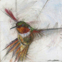 Hummingbird 006