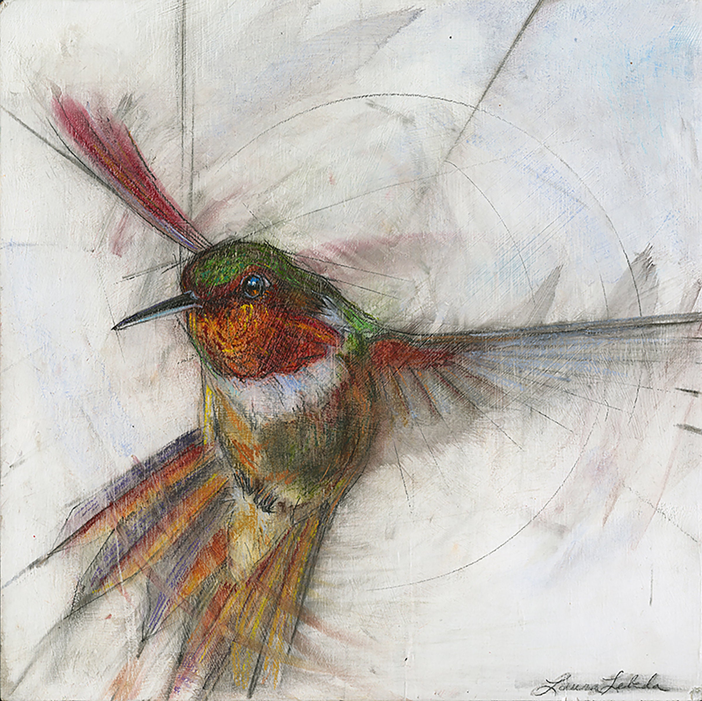 Hummingbird 006