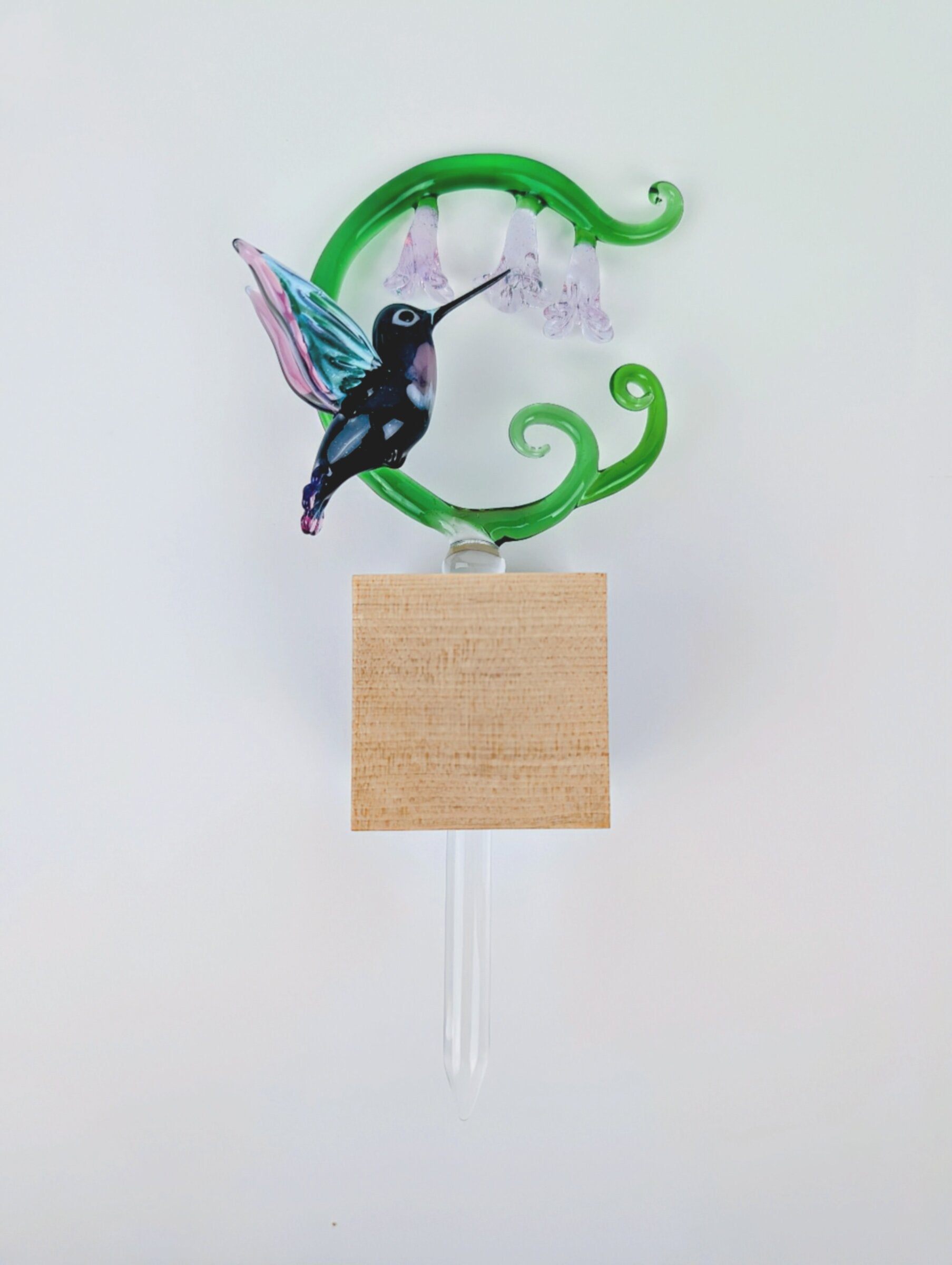 Twilight Hummingbird