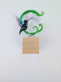 Twilight Hummingbird