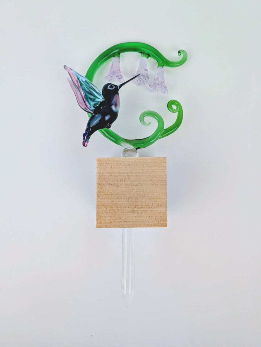 Twilight Hummingbird