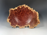 Horistes Eucalyptus Burl Bowl