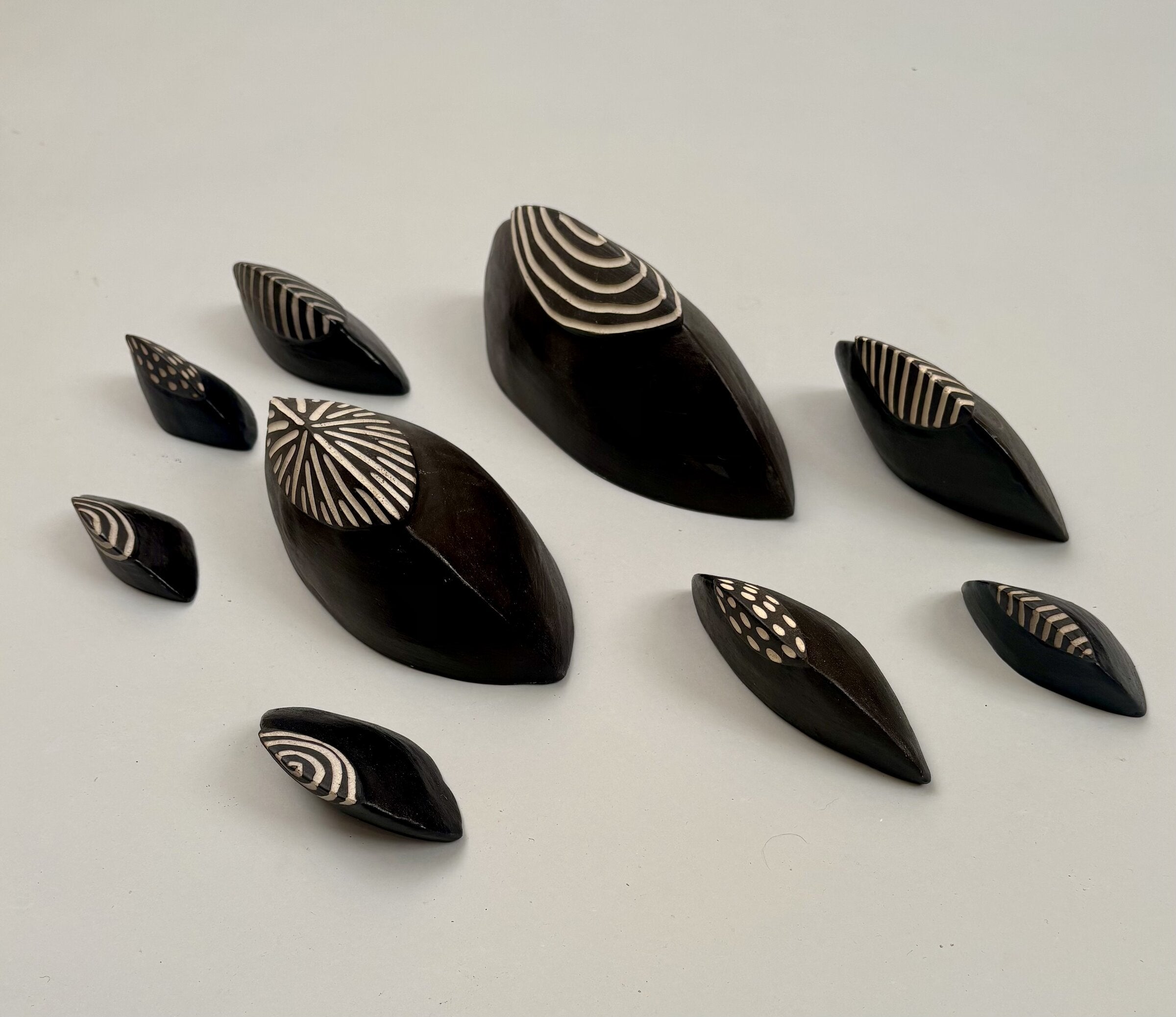 Top Hat Chitons