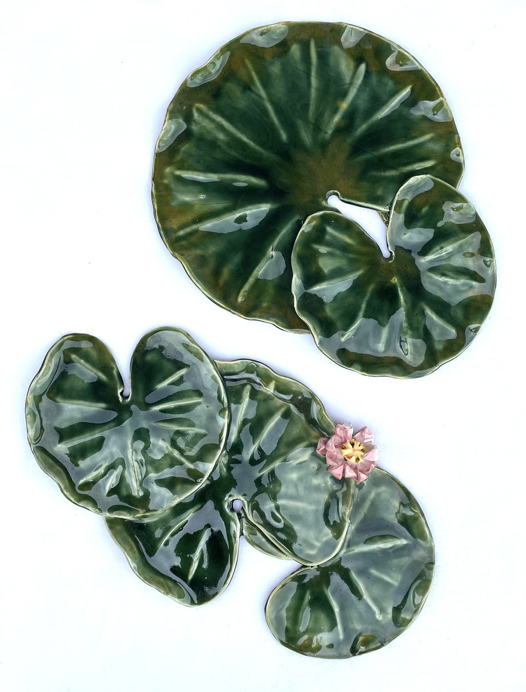 Lily Pad Grouping