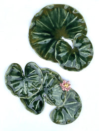 Lily Pad Grouping