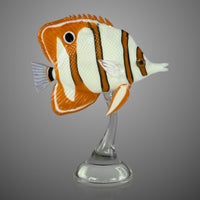 Copperband Butterflyfish II