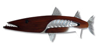 Barracuda