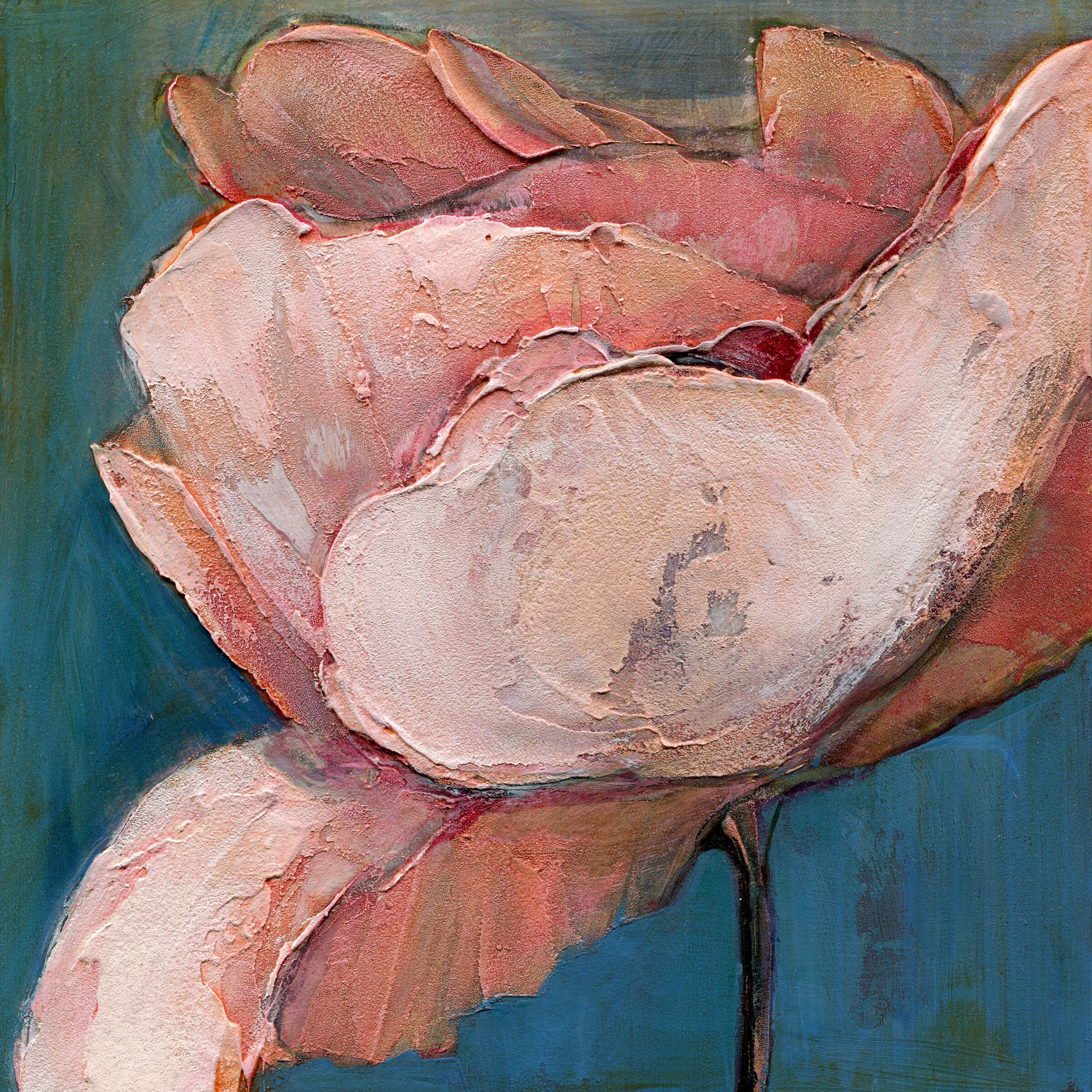Six Poppy Portrait II
