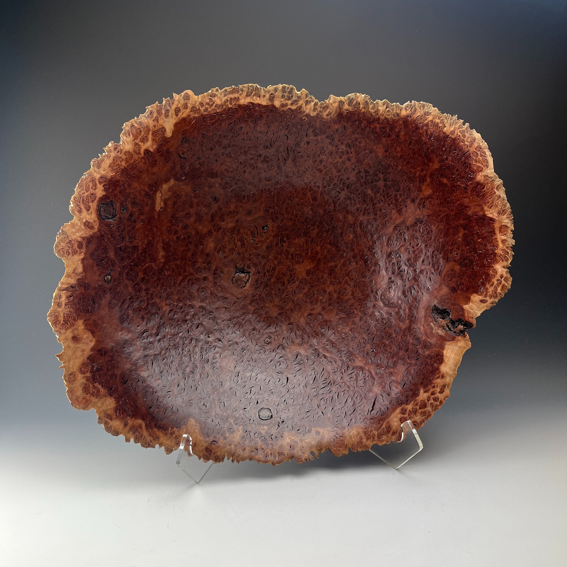 Natural Edge Jarrah Eucalyptus Burl bowl