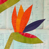 Birds of Paradise