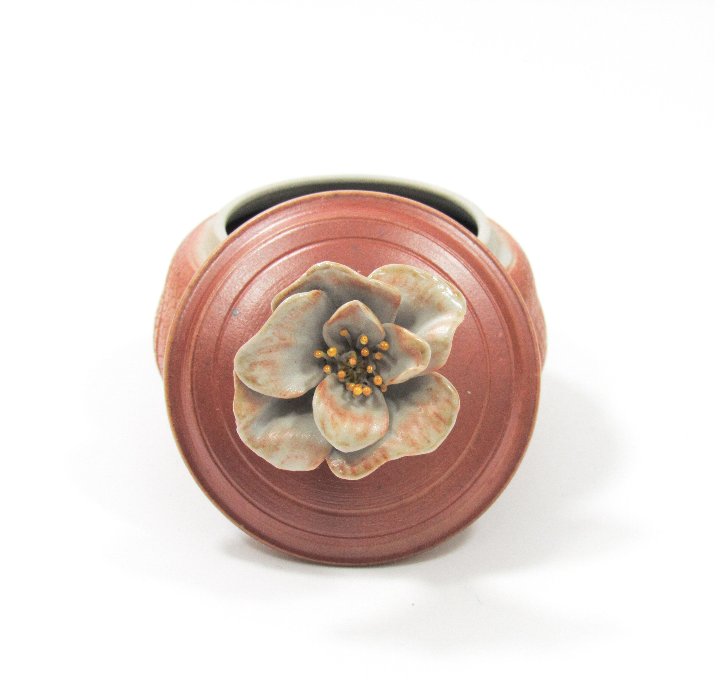 Wild Rose