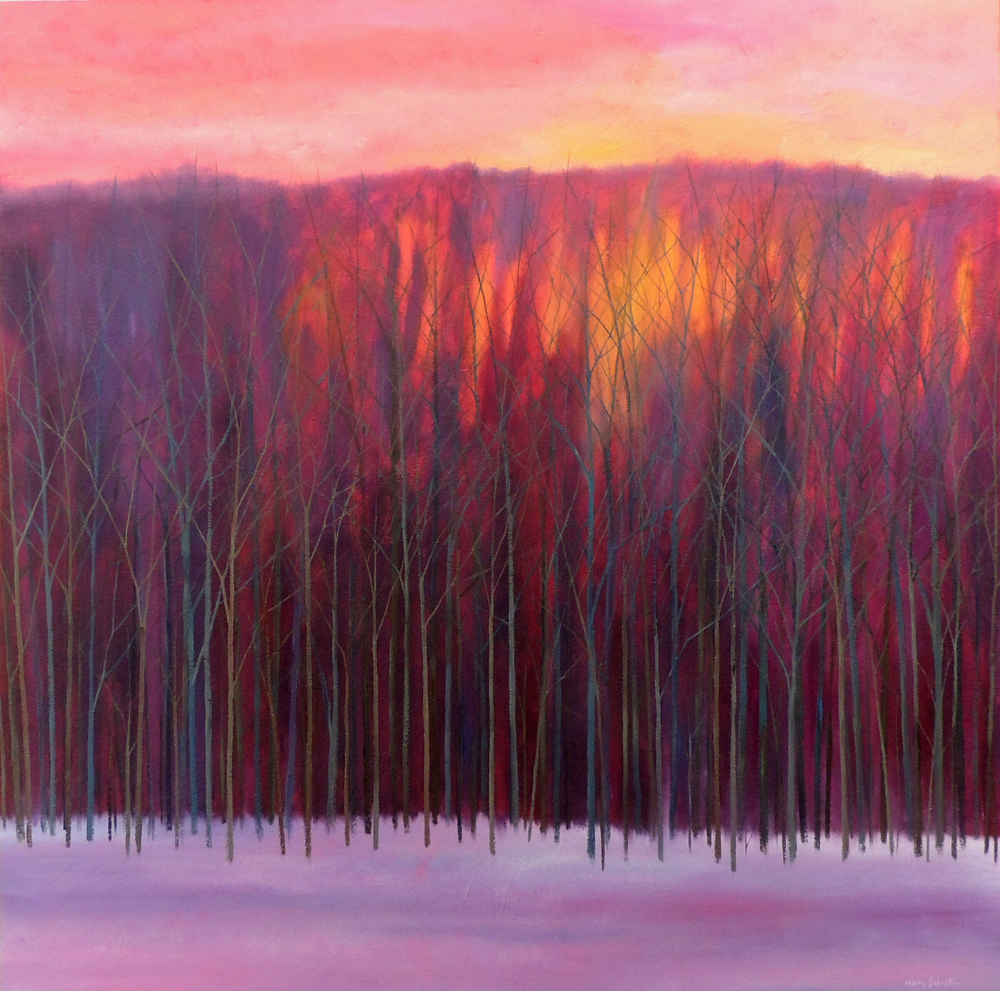 Sunset in the Trees