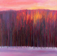 Sunset in the Trees