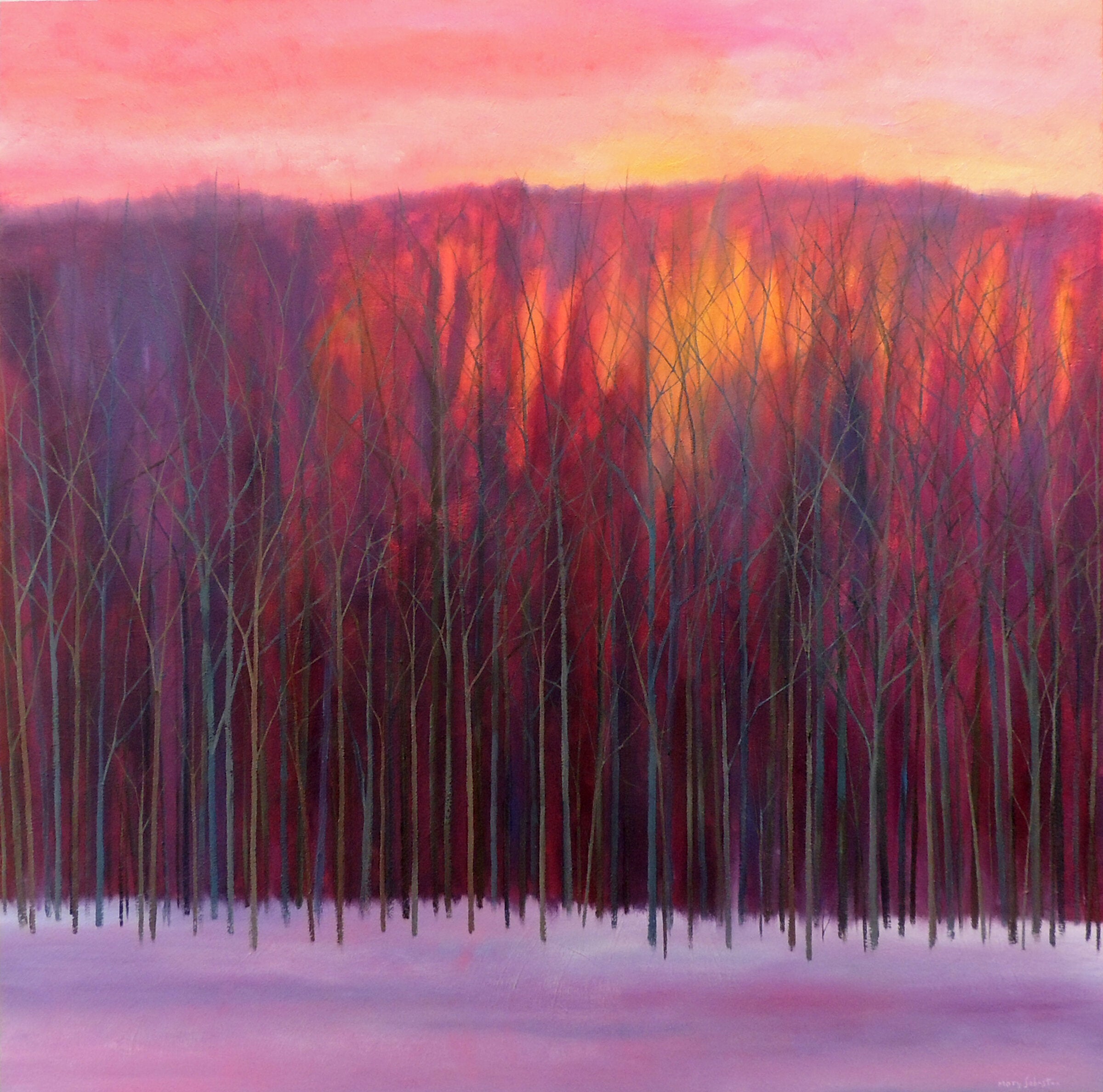 Sunset in the Trees