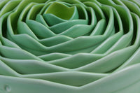 Artichoke in Verde