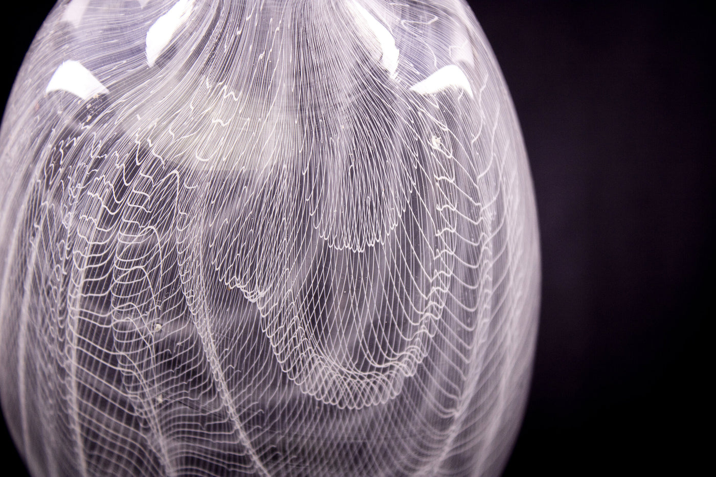 Woven Filigrana Vases