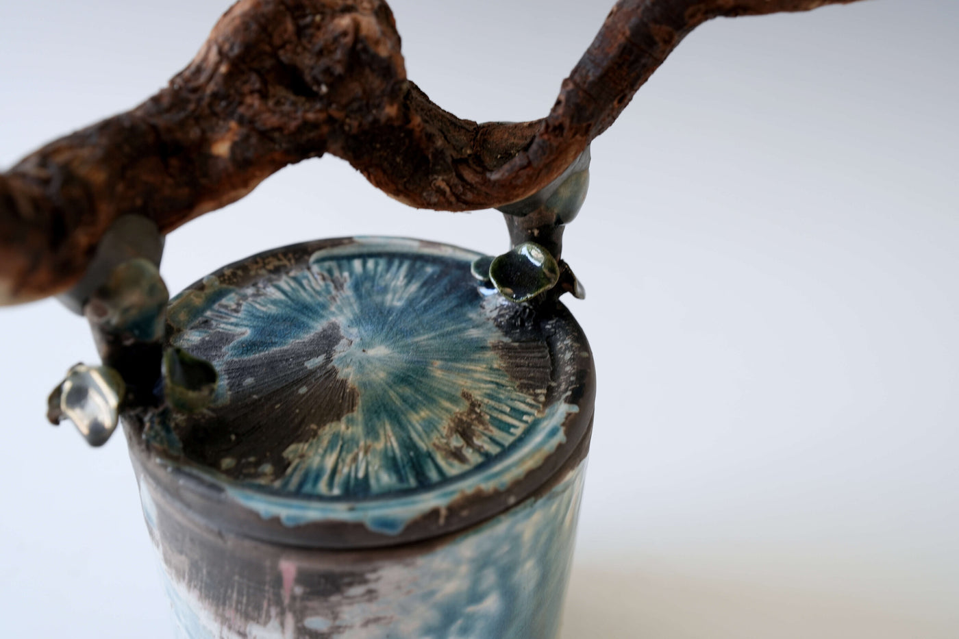 Awakening Echo Magic Forest Porcelain Vessel