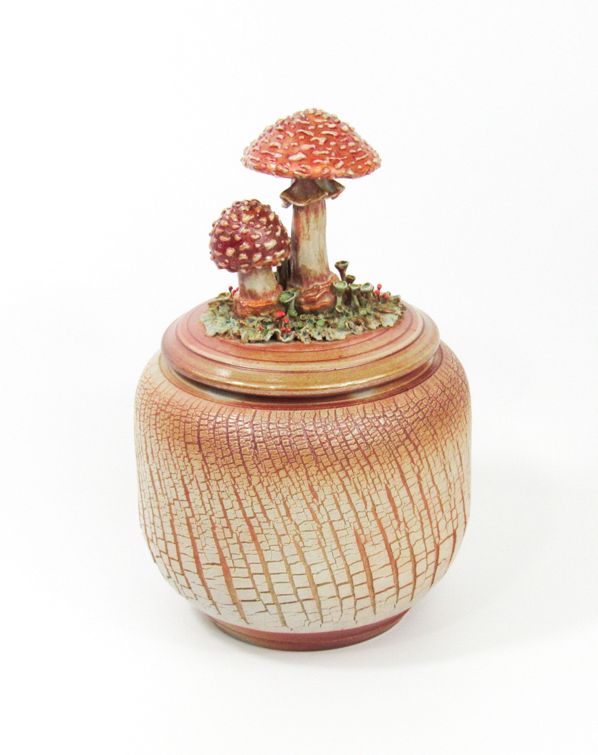 Amanita Muscaria
