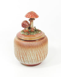 Amanita Muscaria