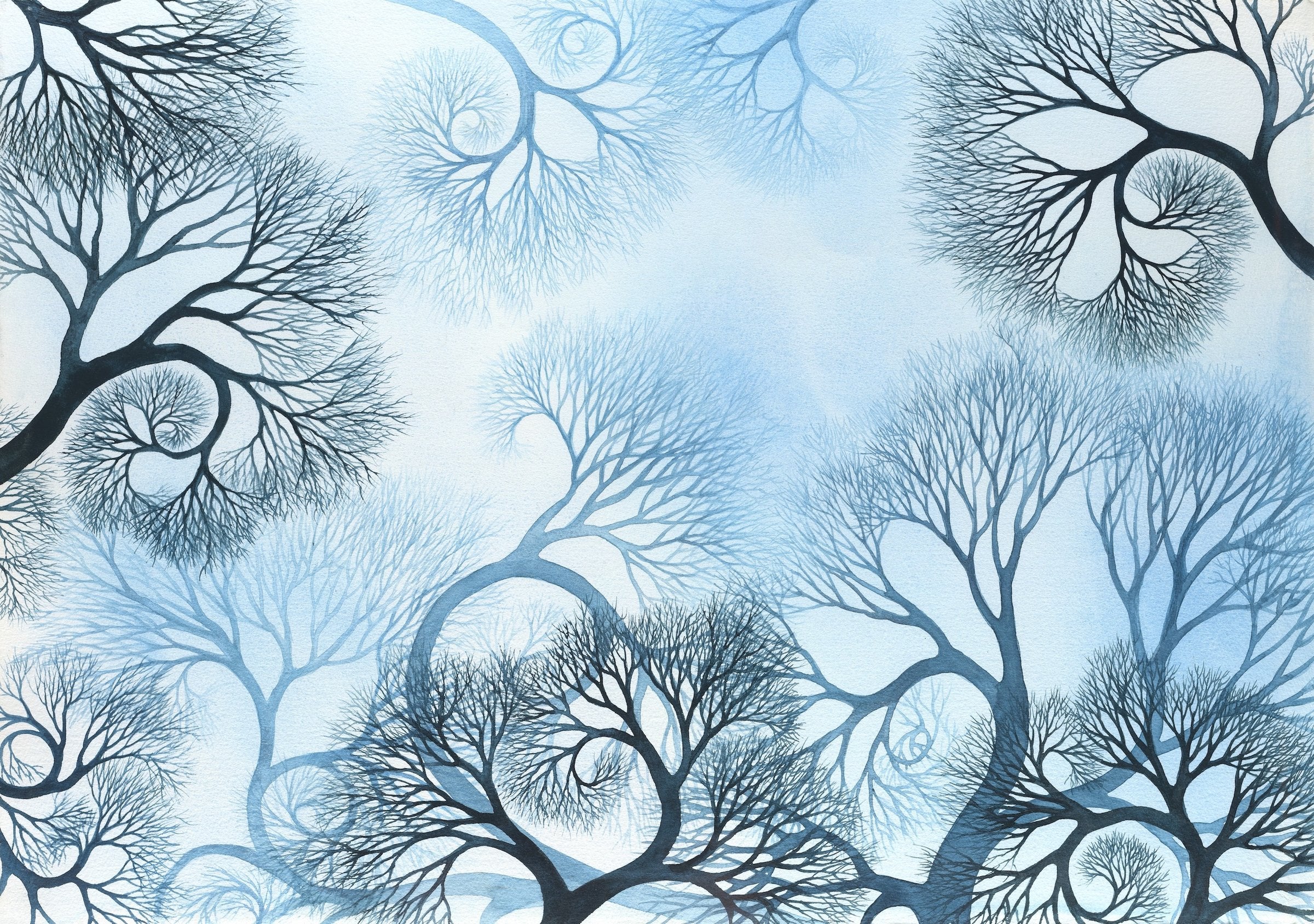 Everything Is Connected IV