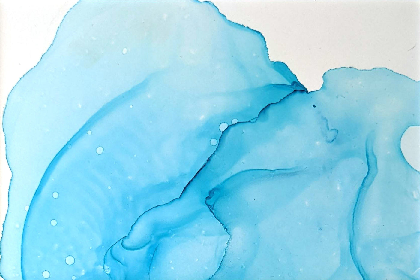 Color Study IX