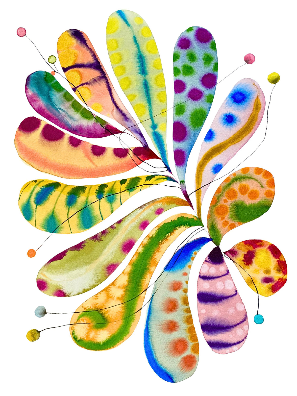 Oval Balloon Flower