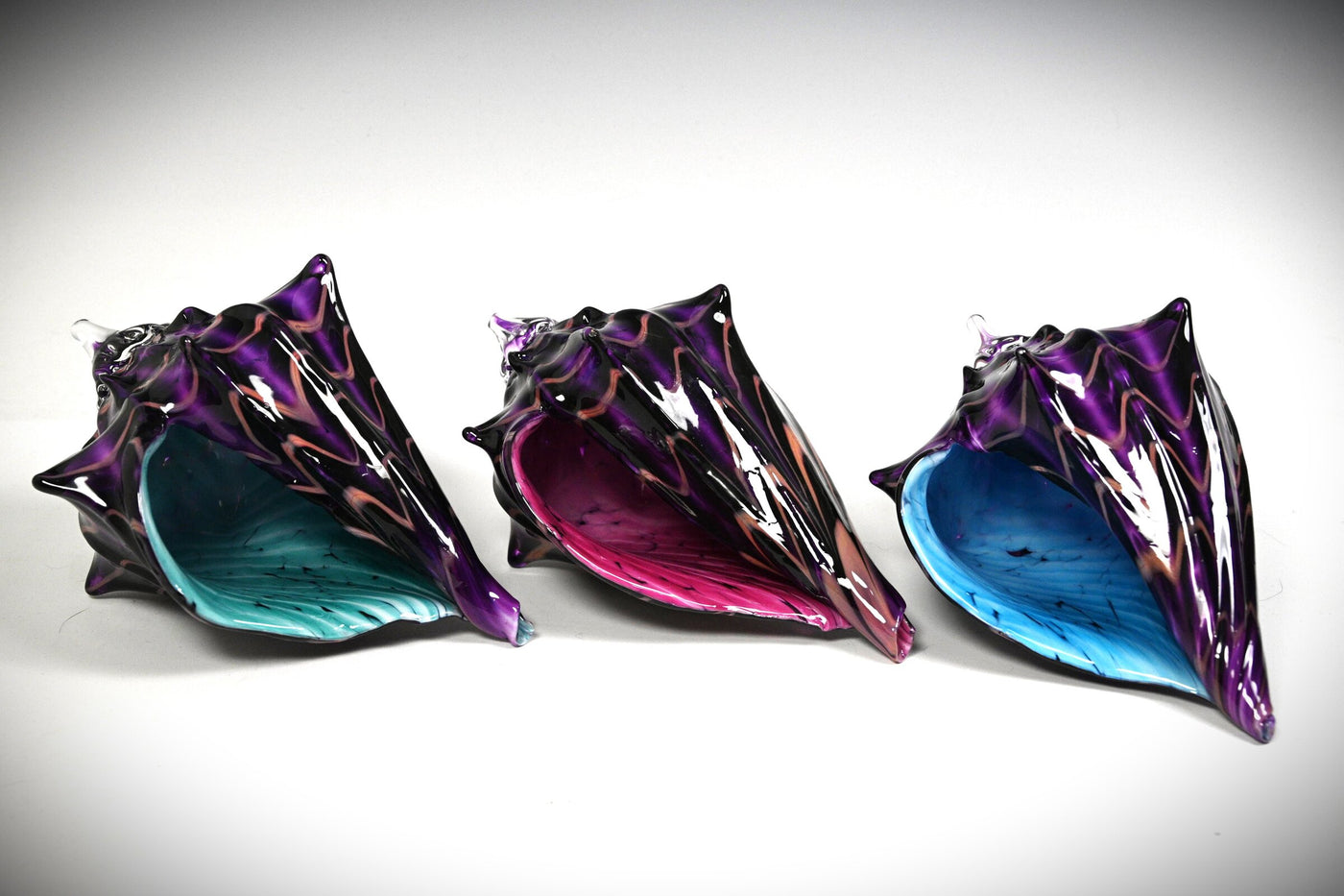 Two-Tone Purple Seashell