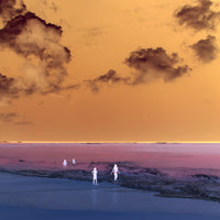 Immensity