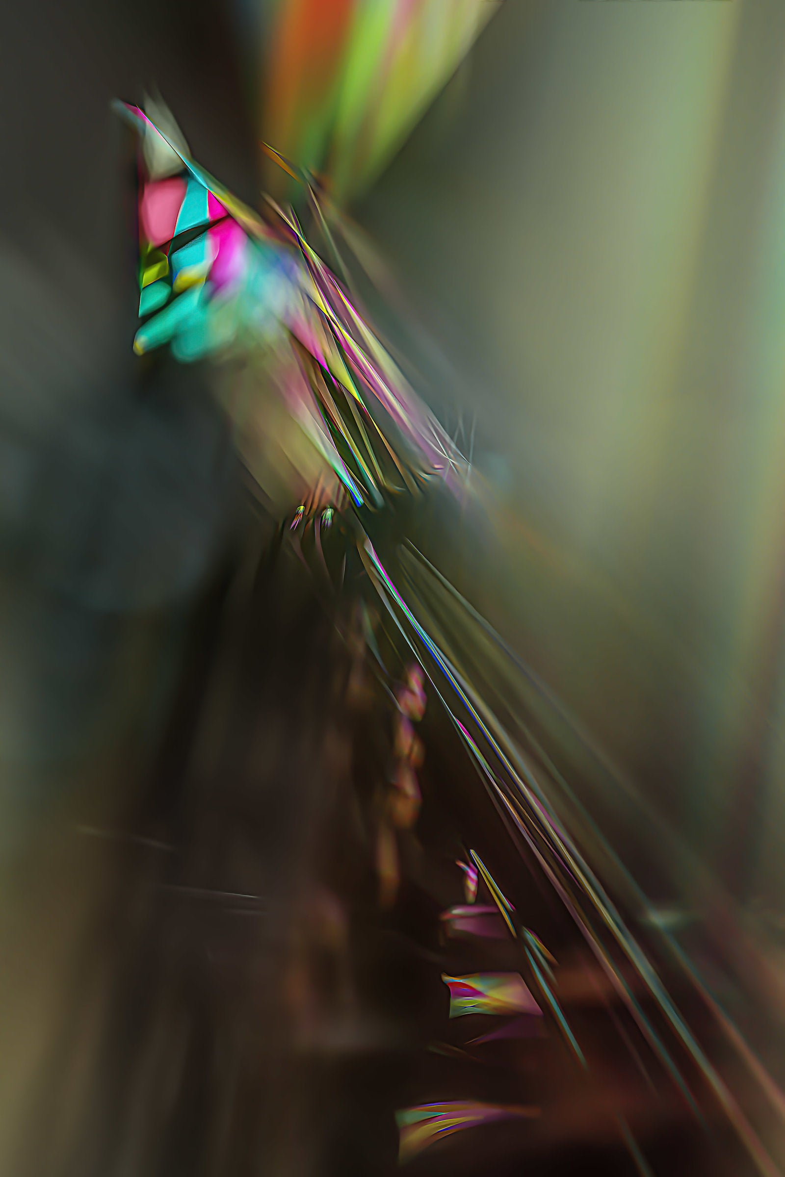 Ascendant