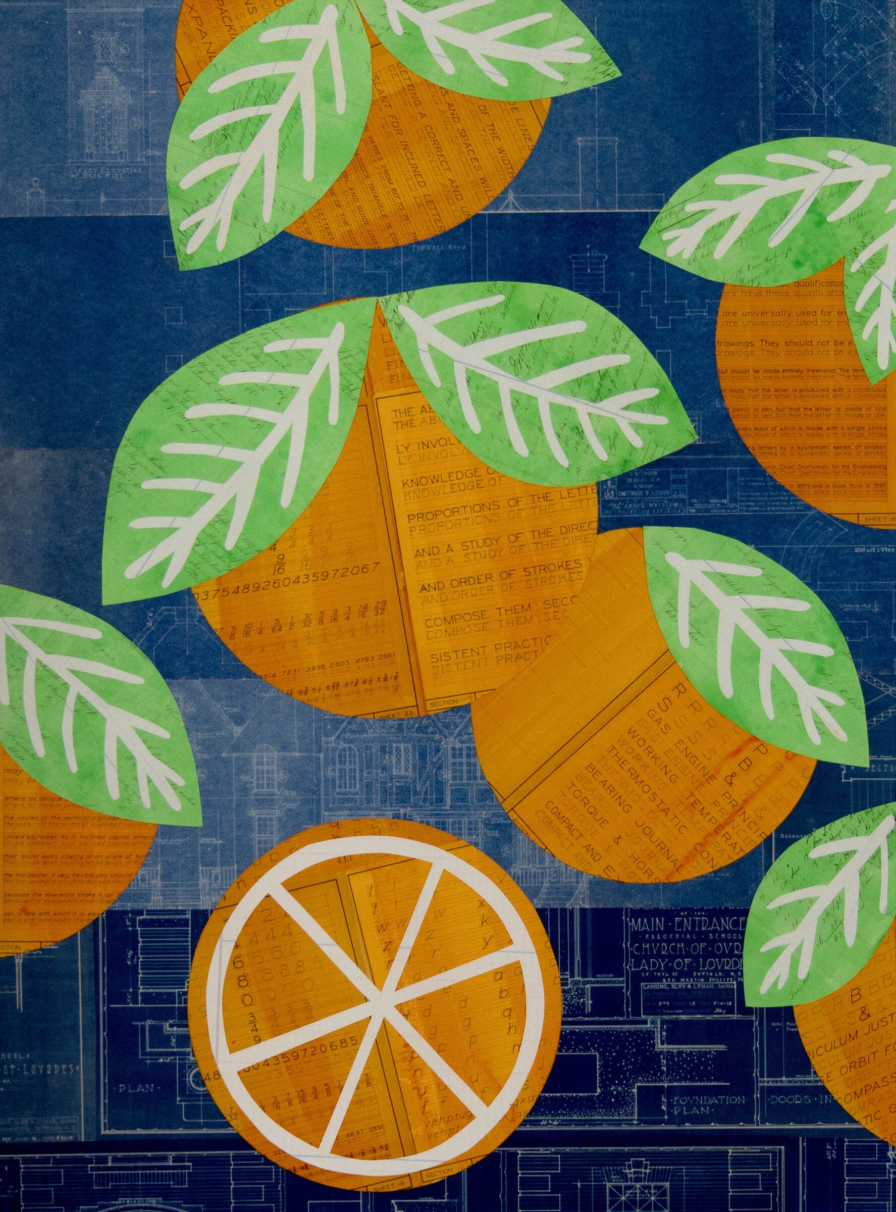 Oranges No. 6
