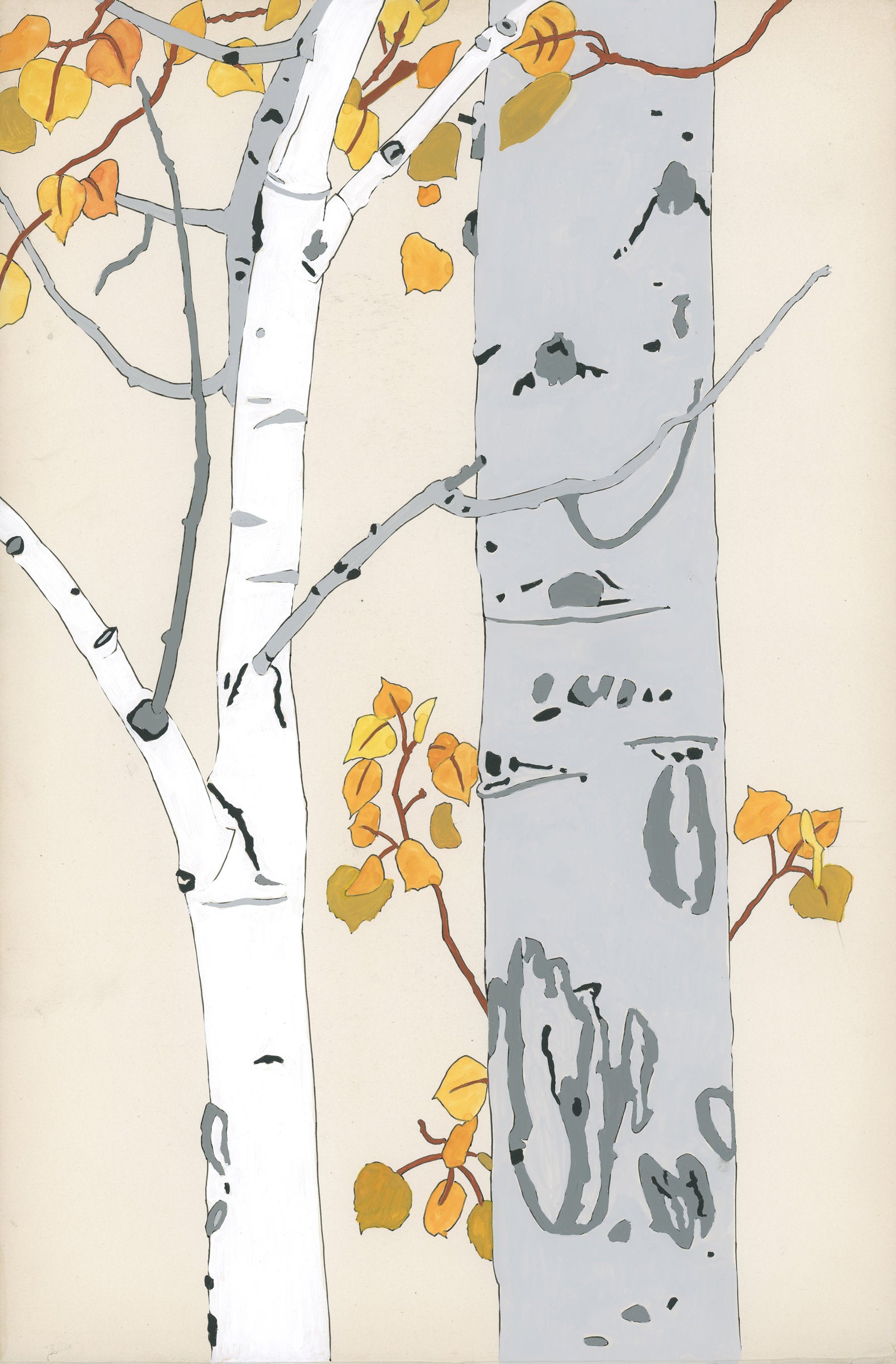 Aspen Autumn