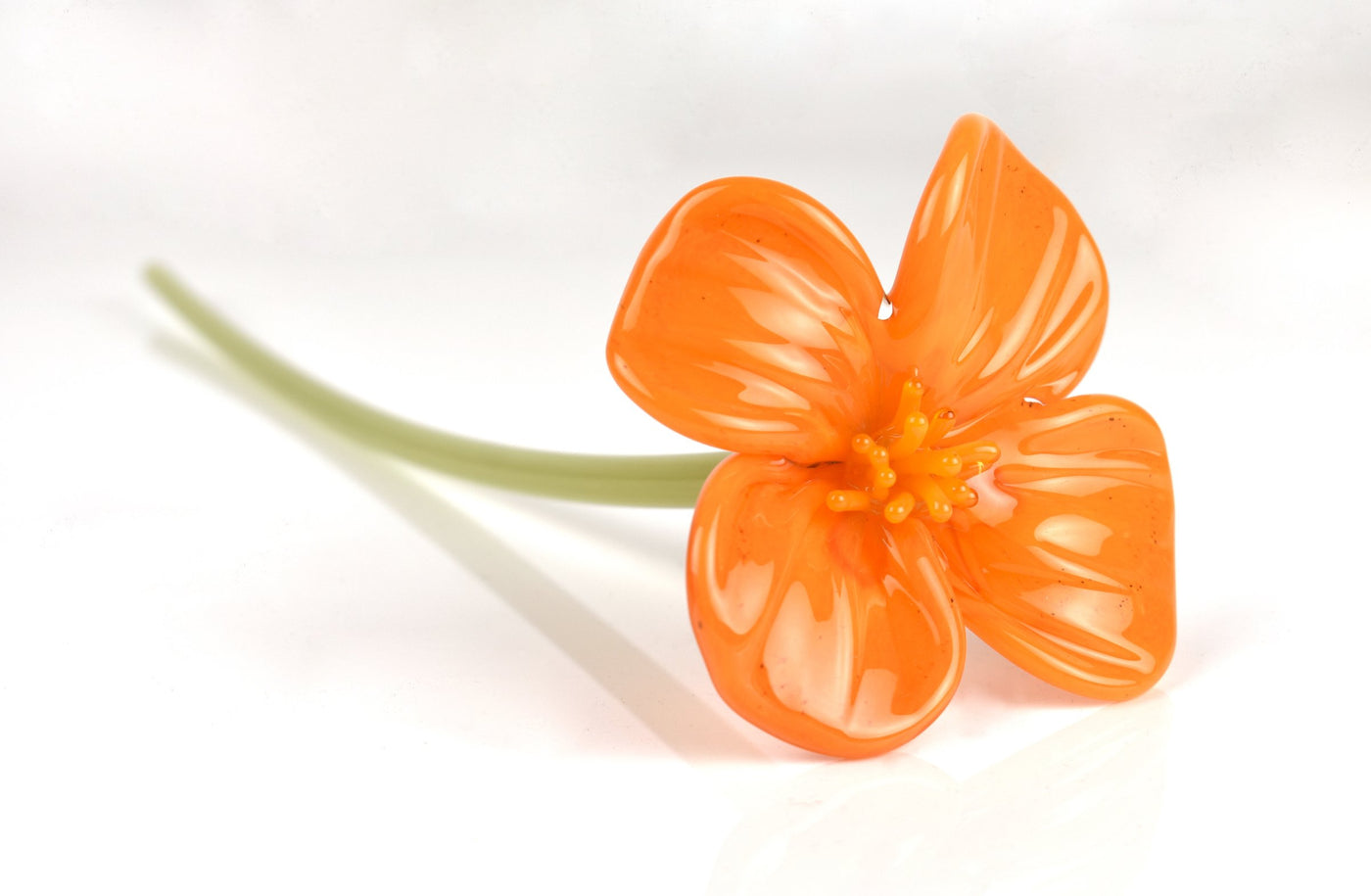 Forever Poppy Bouquet in Clear Bottle