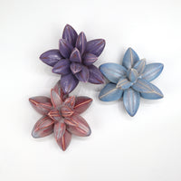 Fanciful Flowers