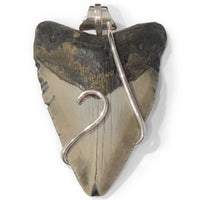 Megalodon Convertible Rubber Necklace V